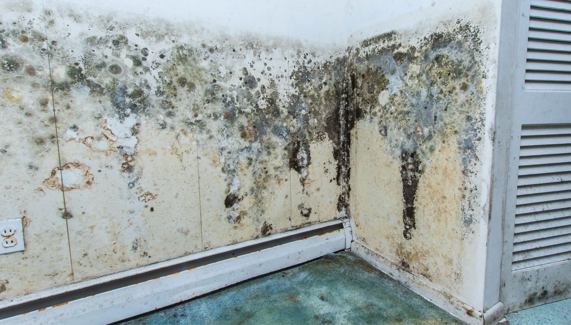 A mold remediation team using specialized techniques to remove mold damage and control odors in a Pembroke Pines property, with a focus on safety and efficiency